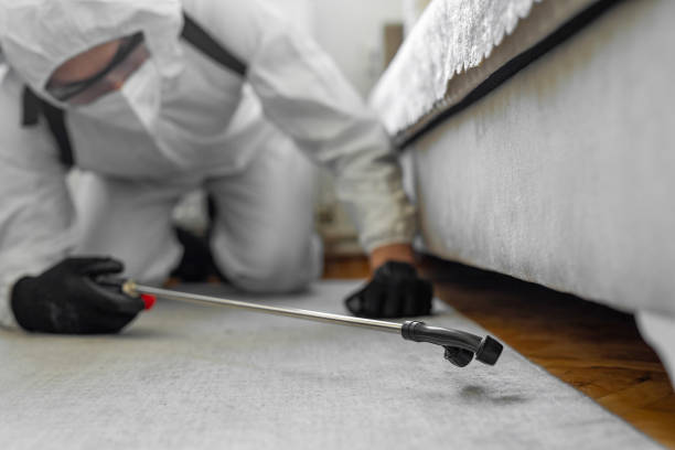 Professional Termite Control technician working in Amelia, OH