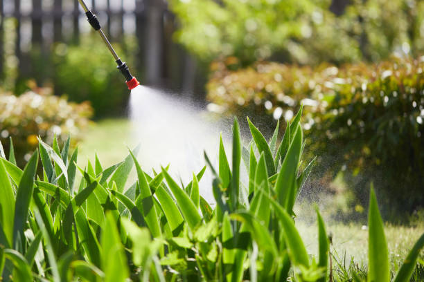 24/7 Emergency Termite Control experts in Amelia, OH