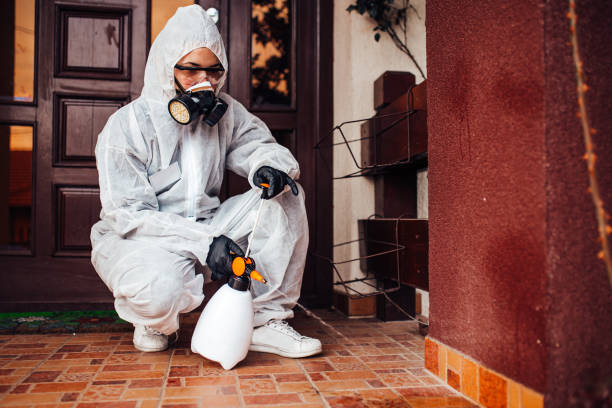 Reliable Termite Control contractor in Amelia, OH by Nex Pest Control