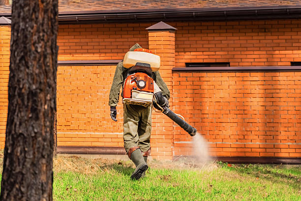 Top rated local Termite Control specialists in Amelia, OH